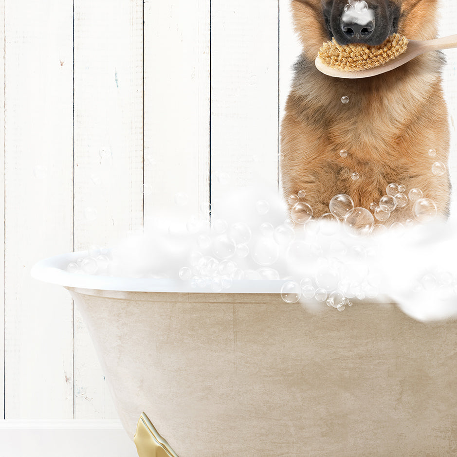 German Shepherd in Farmhouse Hot Bath