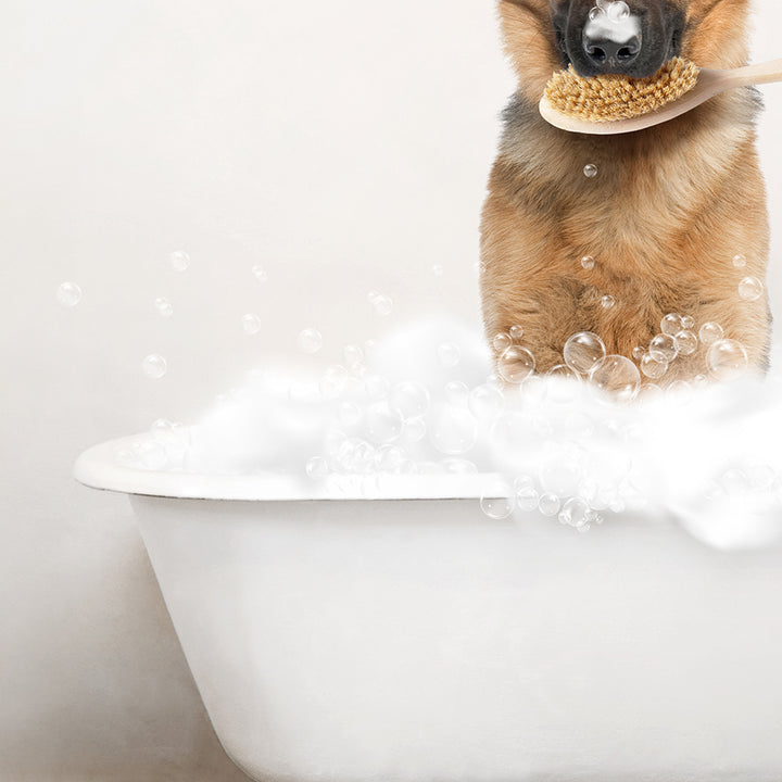 German Shepherd in Rustic Bath Style Lots of Foamy Bubbles