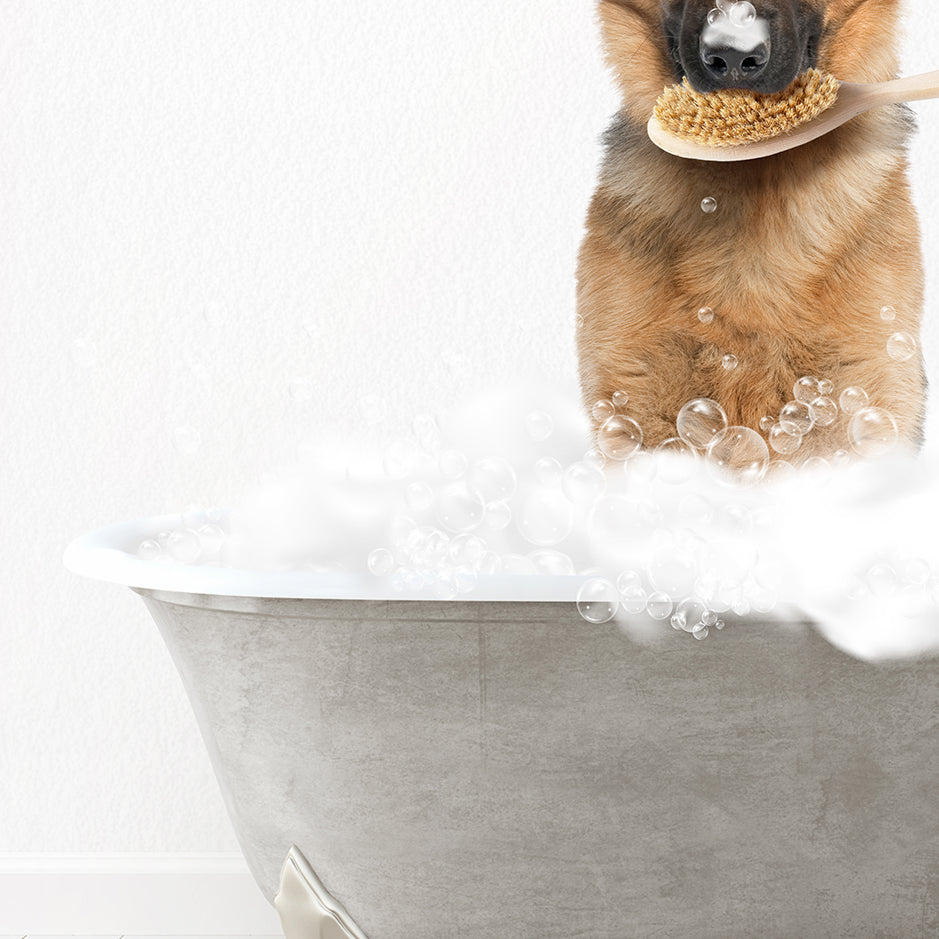 German Shepherd Scrub A-Dub-Dub in Simple Gray Bath