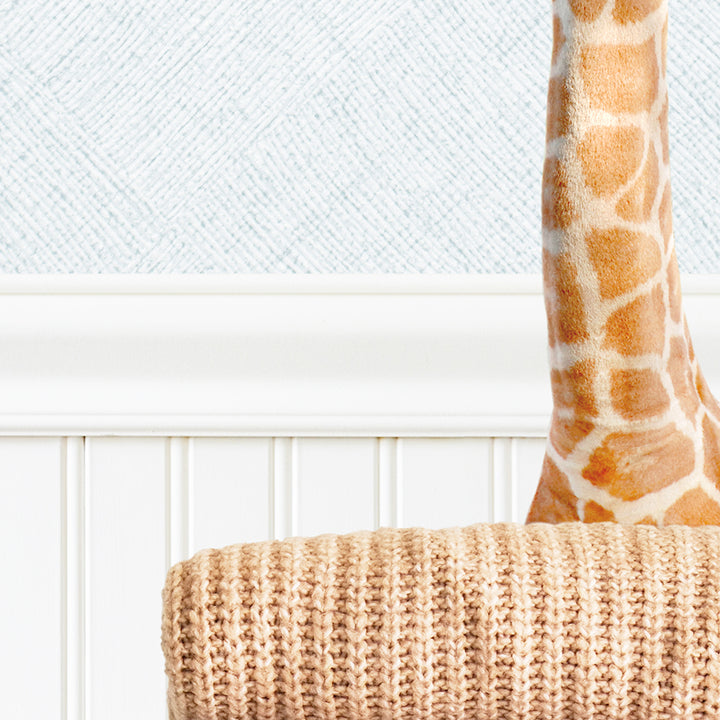 Baby Giraffe on Sweaters - Cottage Blue Wall