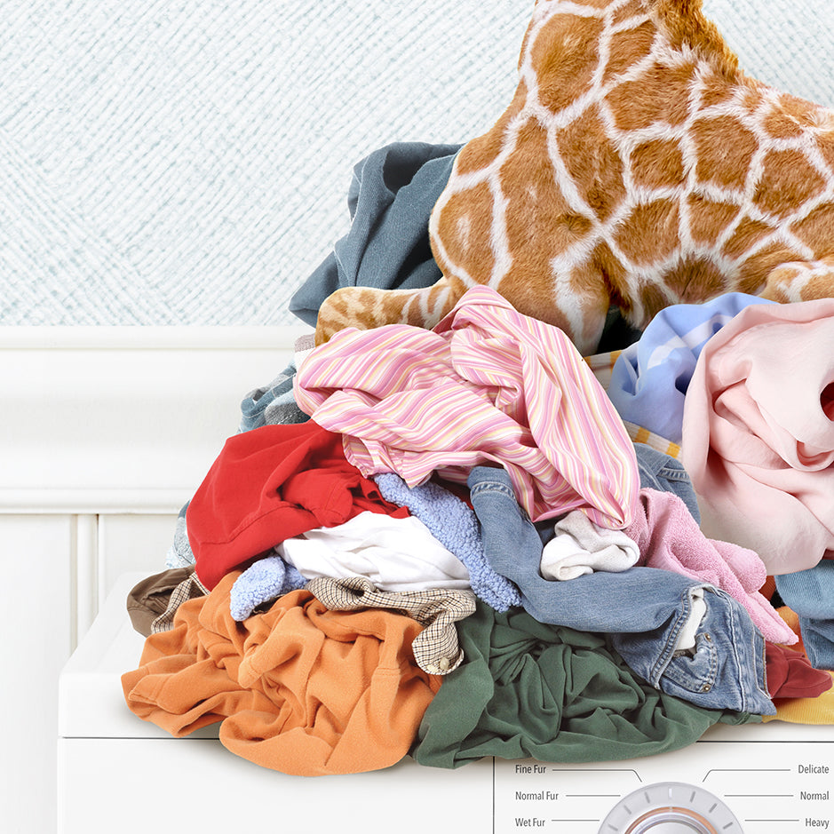 Baby Giraffe on Laundry Clothes Pile on Washing Machine - Cottage Blue Wall