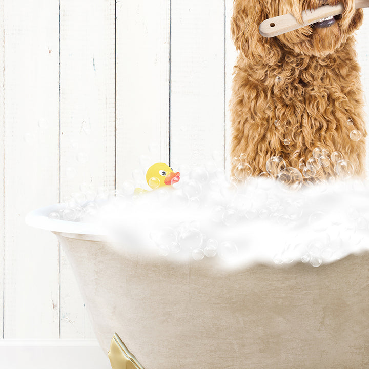 Golden Labradoodle in Farmhouse Hot Bath