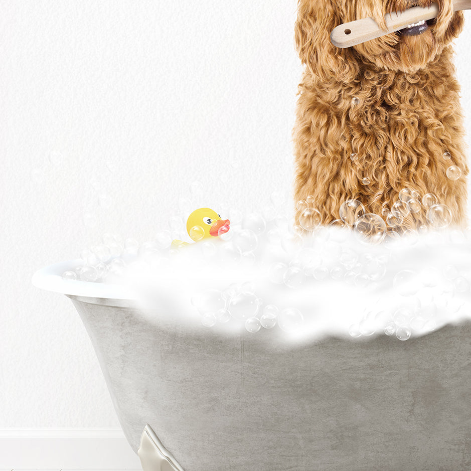 Golden Labradoodle Scrub A-Dub-Dub in Simple Gray Bath