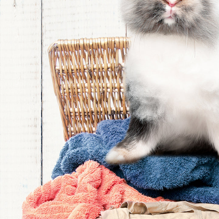 Gray and White Bunny in Laundry Basket - Farmhouse Wall