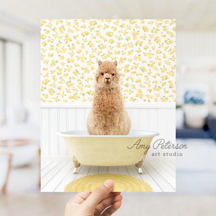 Alpaca in Cottage Yellow Bath