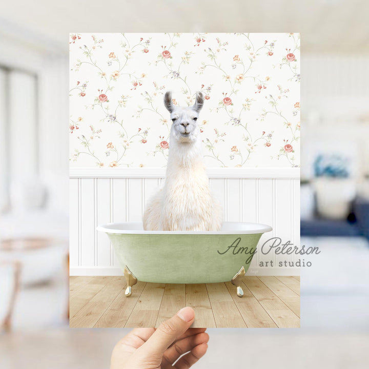 Llama in Country Cottage Bath