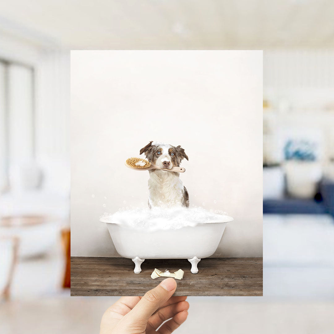 Australian Shephard in Rustic Bath Style Lots of Foamy Bubbles