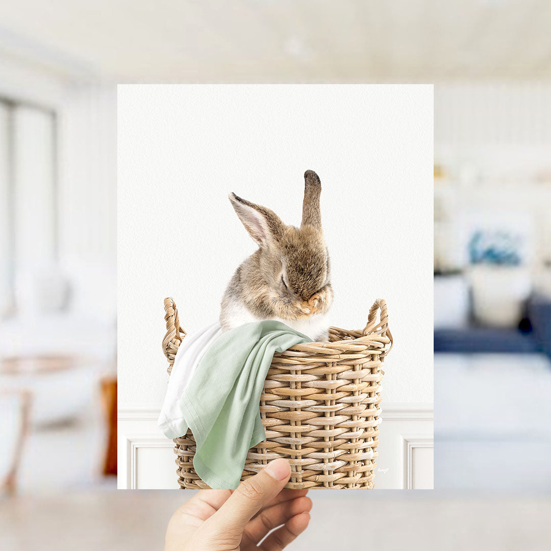 Bashful Bunny in Laundry Basket - Simple White Wall