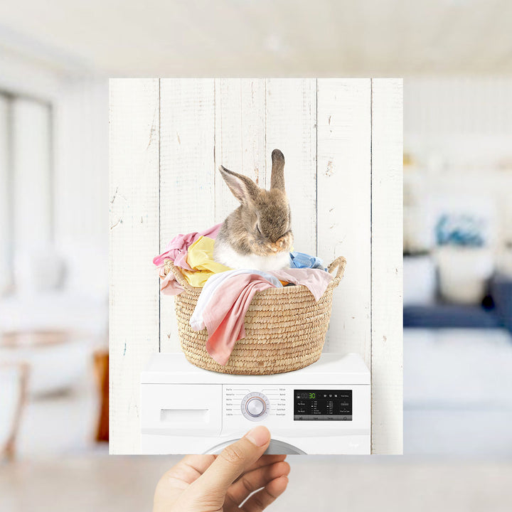 Bashful Bunny in Laundry Basket on Washing Machine- Farmhouse Wall