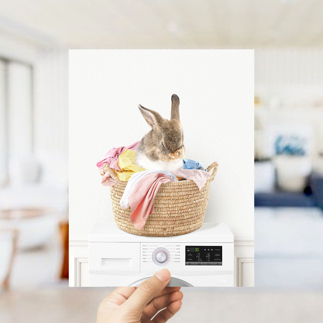 Bashful Bunny in Laundry Basket on Washing Machine- Simple White Wall