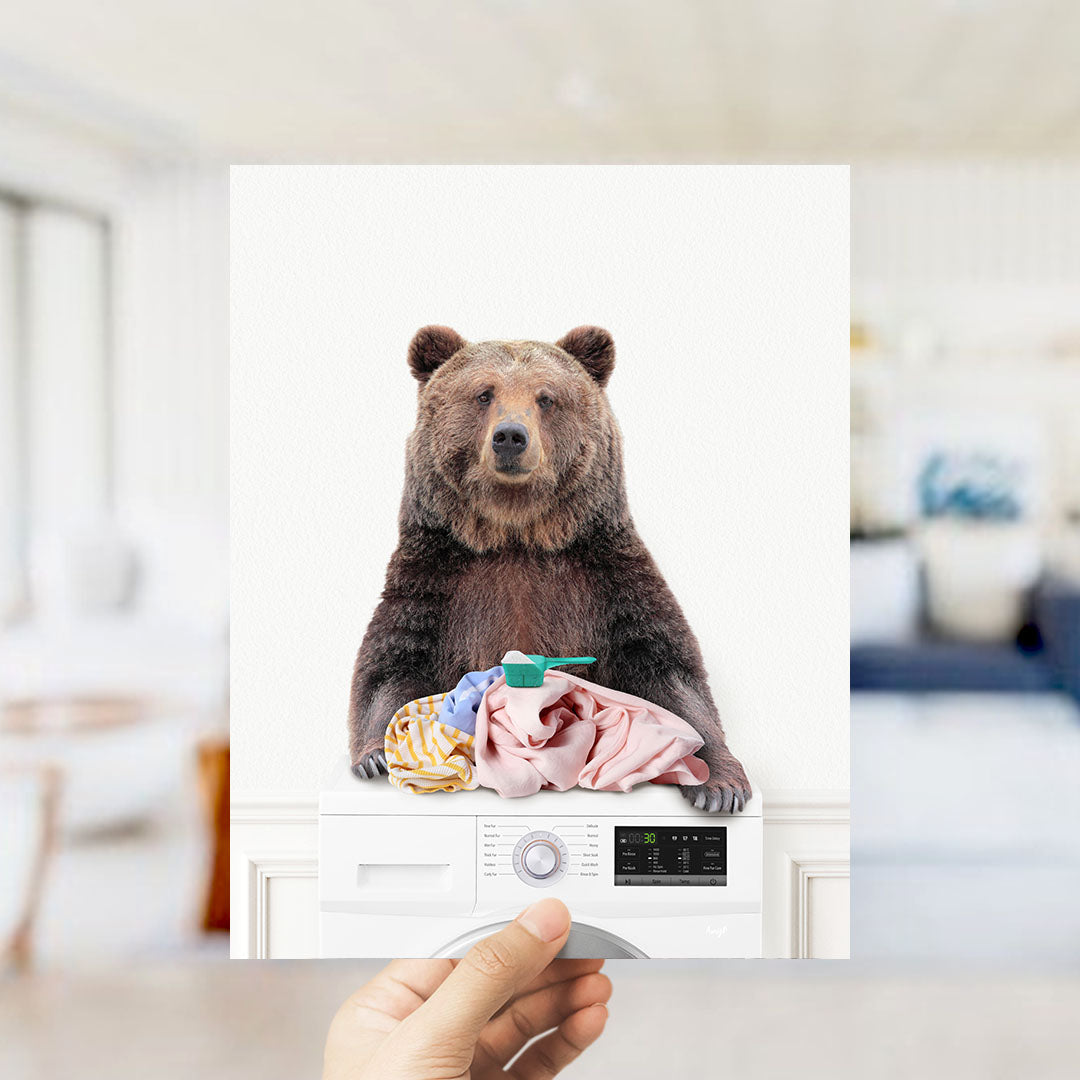 Bear and Snowshoe Hare Doing Laundry - Simple White Wall