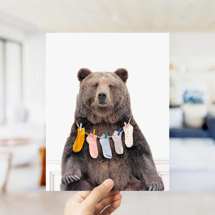 Bear - Lost Socks - Simple White Wall