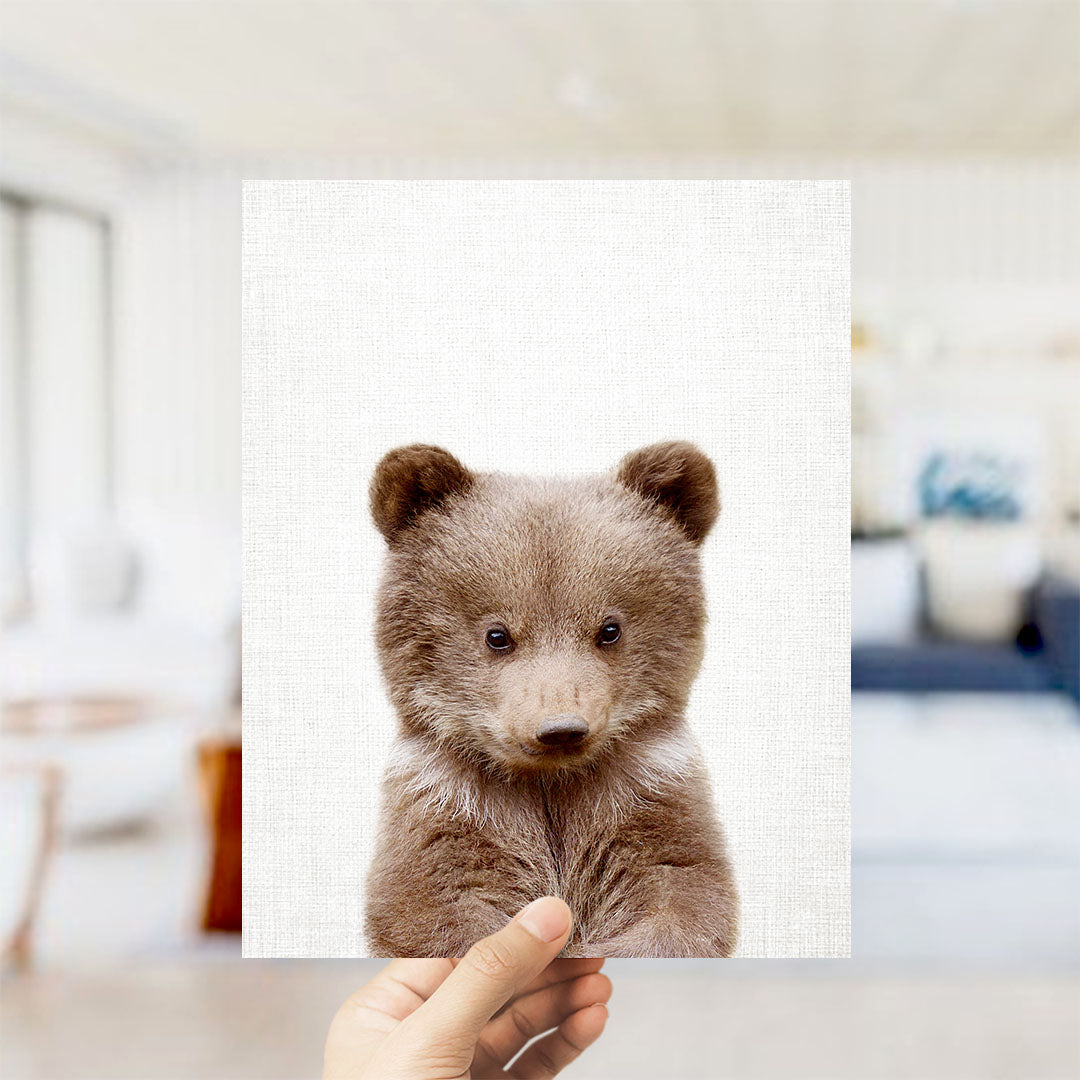 Bear Cub - Animal Portraits