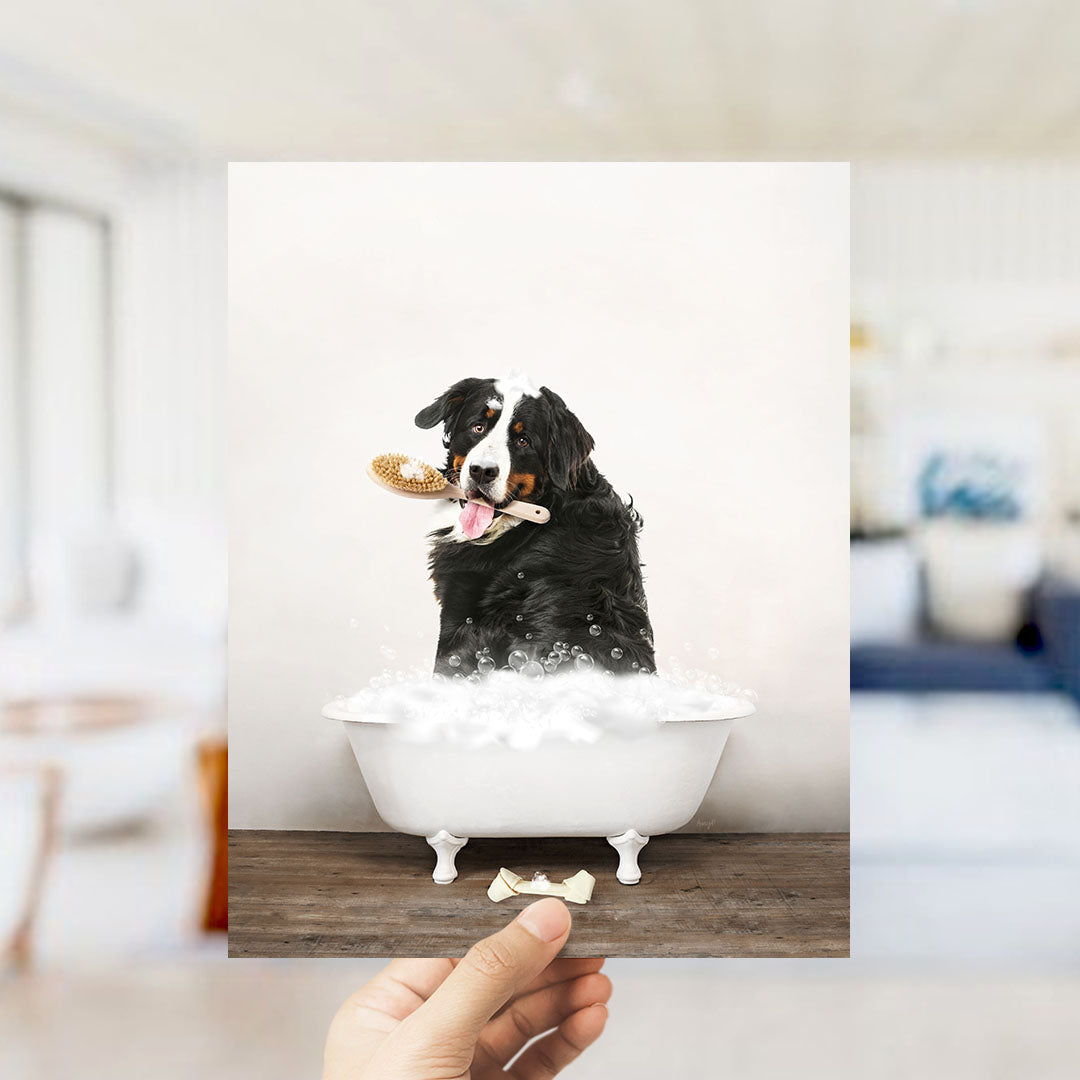 Bernese Mountain Dog in Rustic Bath Style Lots of Foamy Bubbles