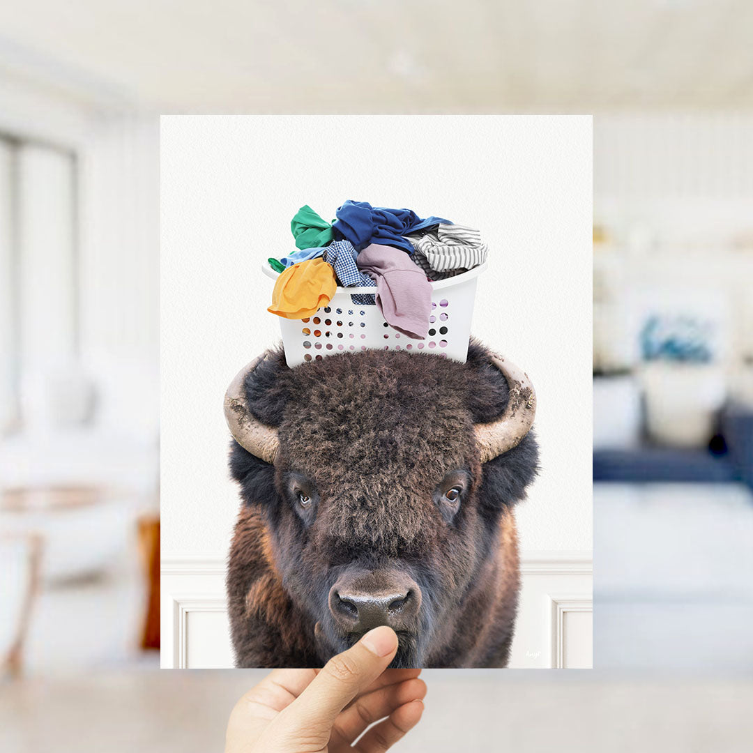 Bison with Laundry Basket - Simple White Wall