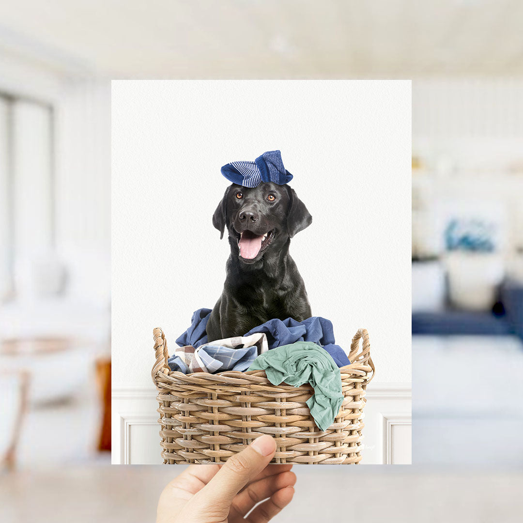 Black Lab in Laundry Basket - Simple White Wall