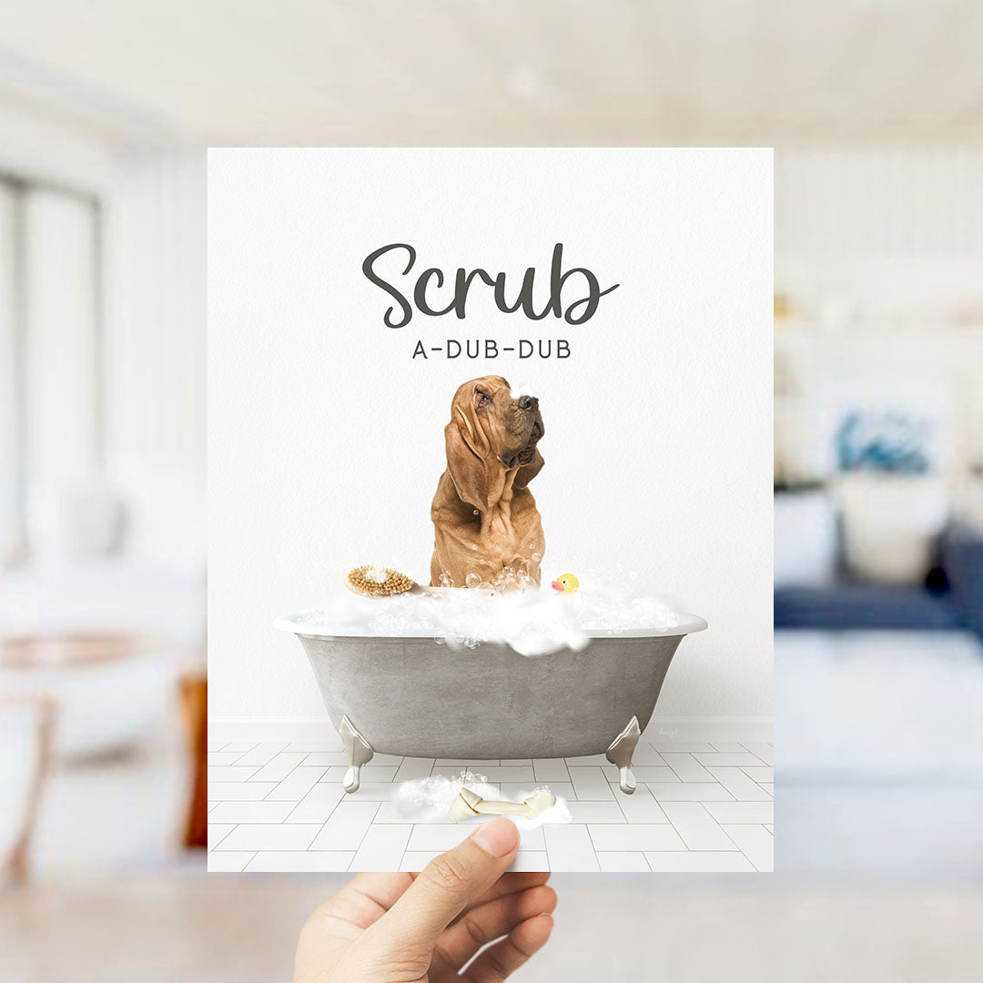 Bloodhound Scrub A-Dub-Dub in Simple Gray Bath