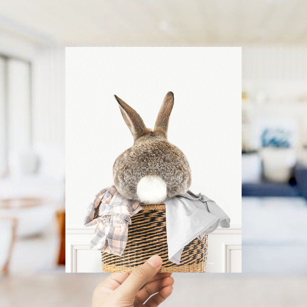 Bunnytail in Laundry Basket - Simple White Wall