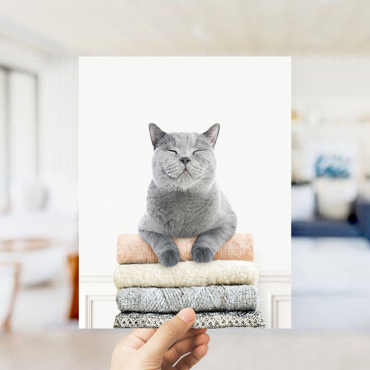 Cat on Sweaters - Simple White Wall