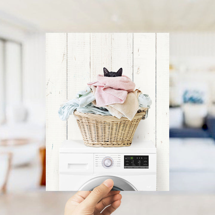 Dirty Kitty Cat in Laundry Basket on Washing Machine - Farmhouse Wall