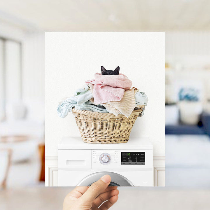 Cat in Laundry Basket on Washing Machine - Simple White Wall