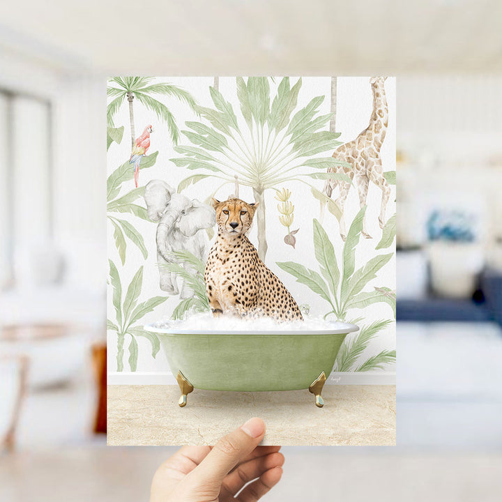 Cheetah in Safari Bath