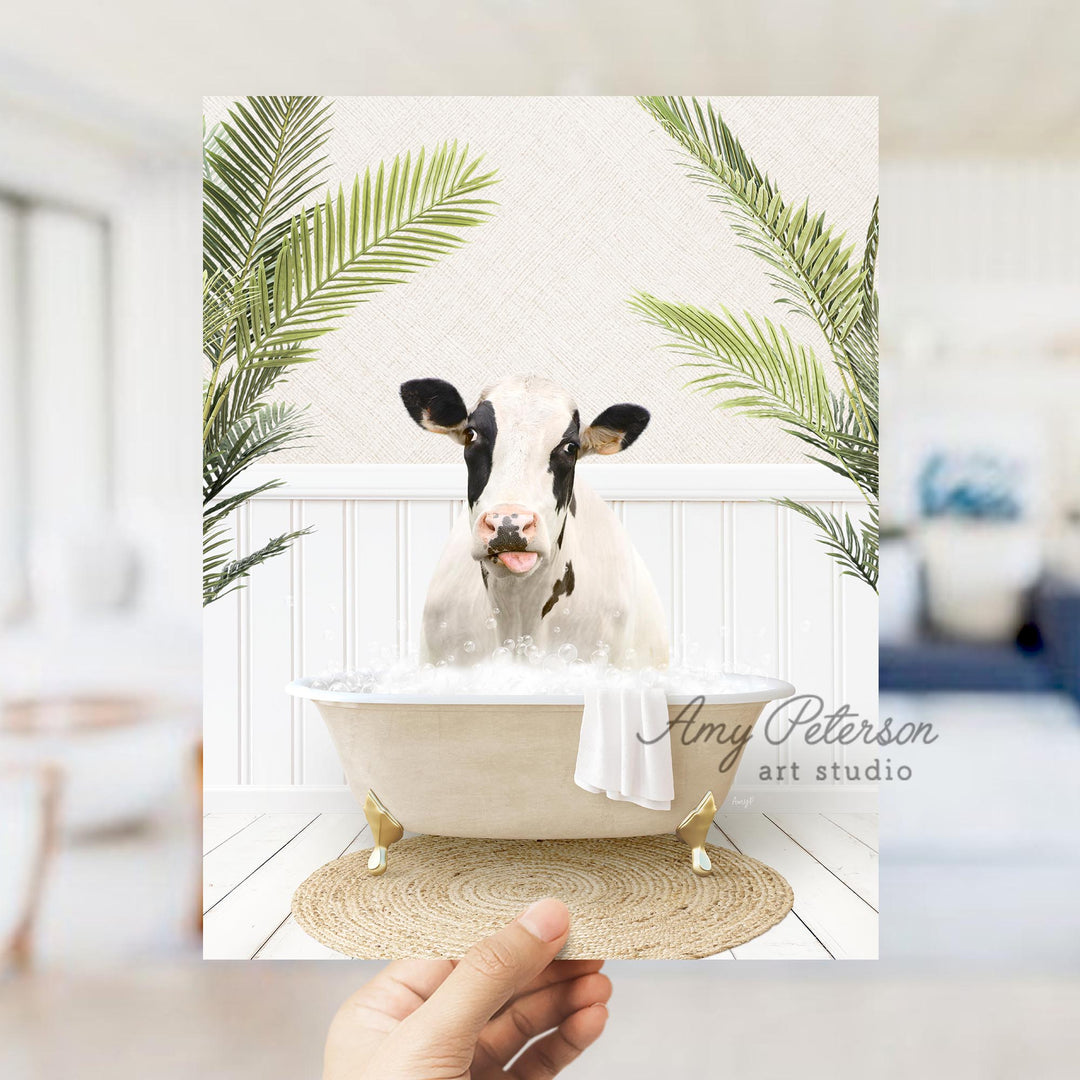 Holstein Cow in Palms Bath