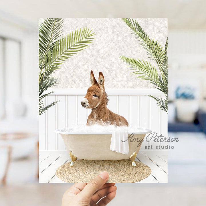 Baby Donkey in Palms Bath