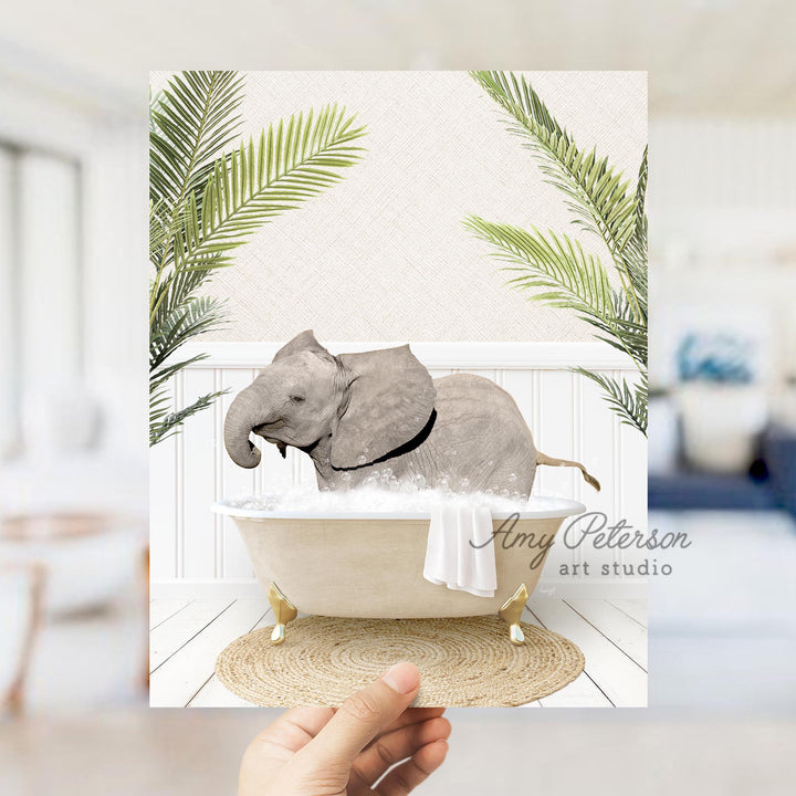 Baby Elephant No2 in Palms Bath