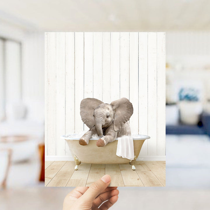 Baby Elephant No6 in Farmhouse Bath