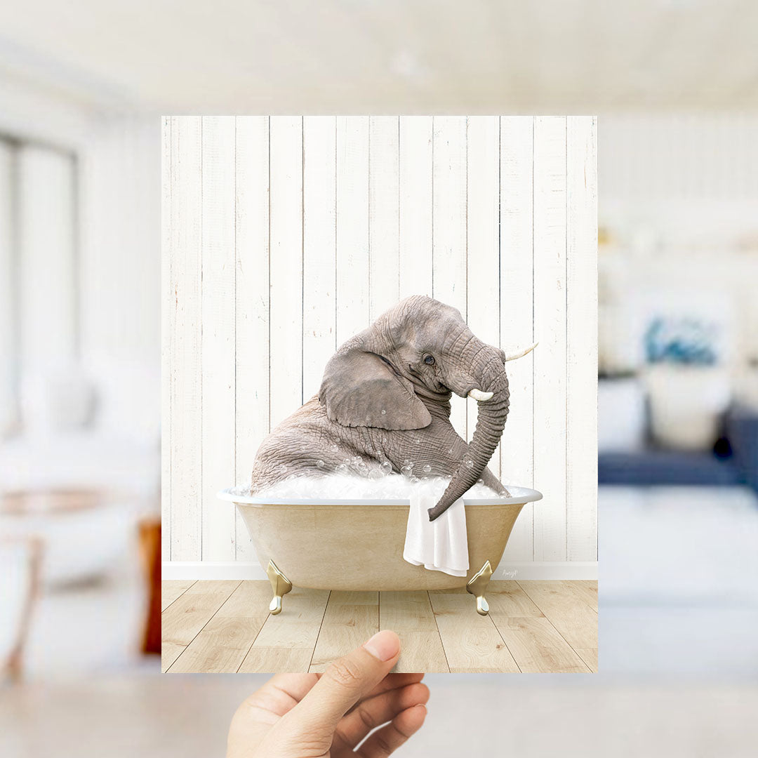 Young Elephant in Farmhouse Bath