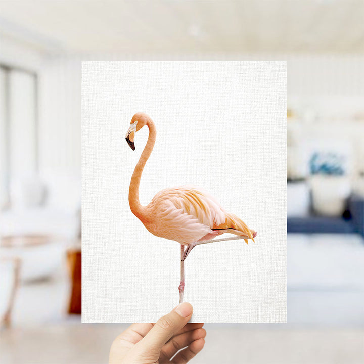 Flamingo - Animal Portraits
