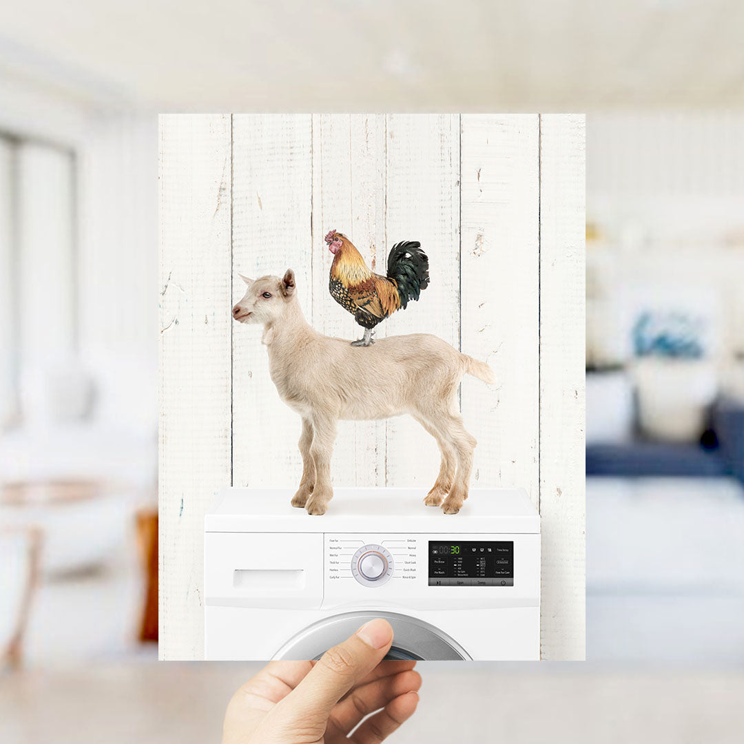Goat and Rooster On Washing Machine - Farmhouse Wall