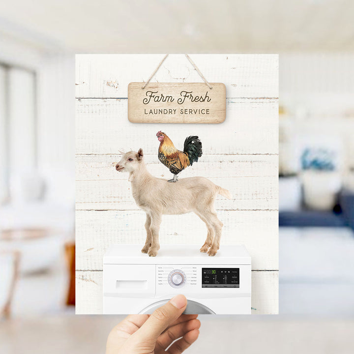 Farm Fresh Laundry Service - Farmhouse Wall Funny Sayings