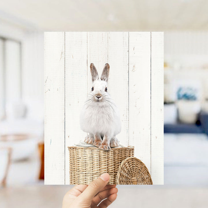 Snowshoe Hare in Laundry Basket - Farmhouse Wall