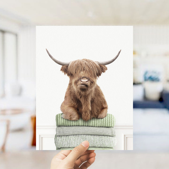 Highland Cow on Folded Sweaters - Simple White Wall