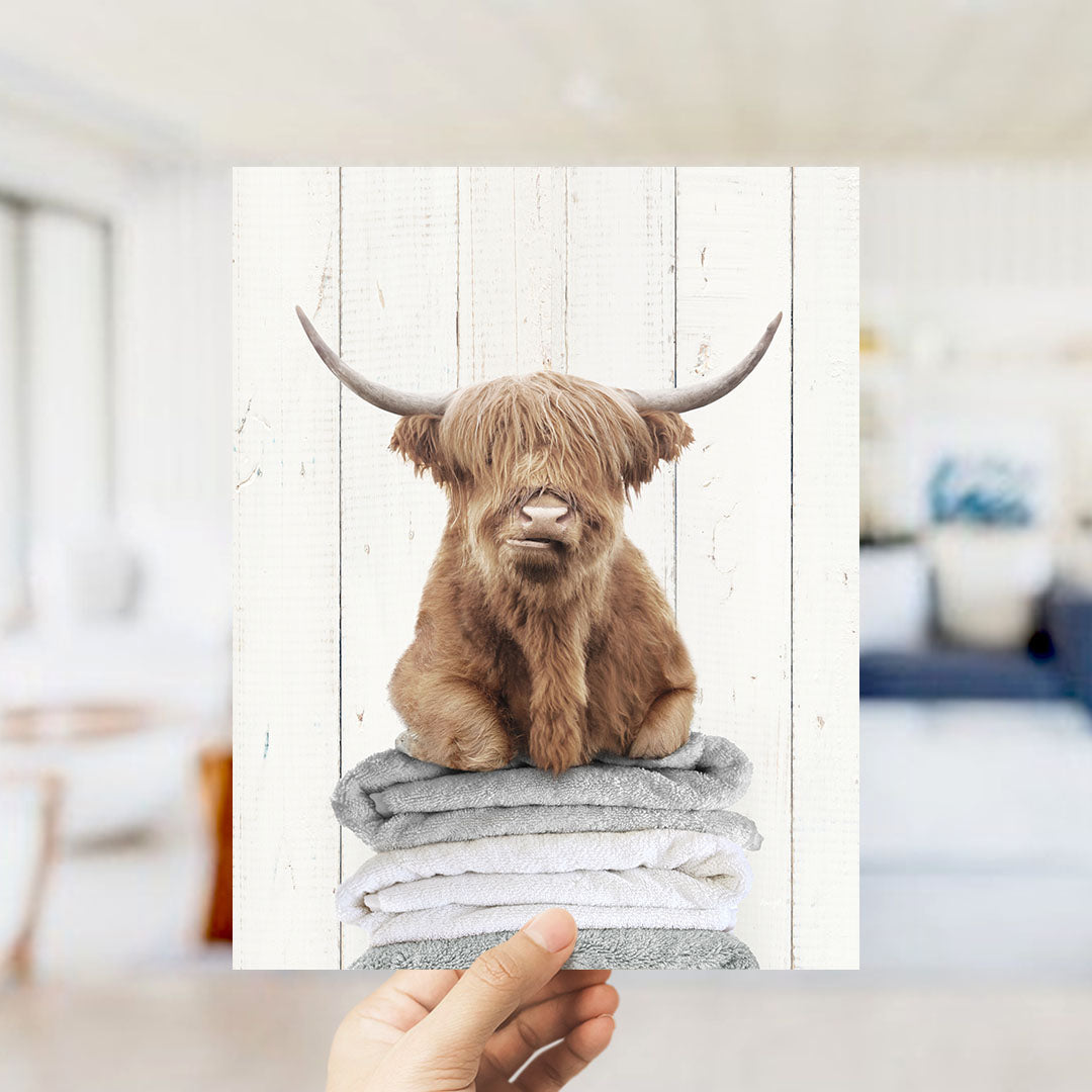 Highland Cow on Folded Towels - Farmhouse Wall