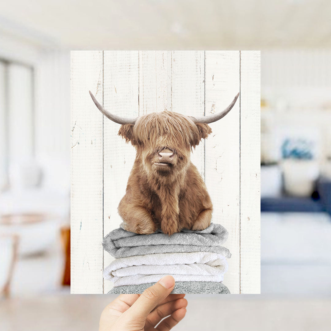 Highland Cow on Folded Towels - Farmhouse Wall