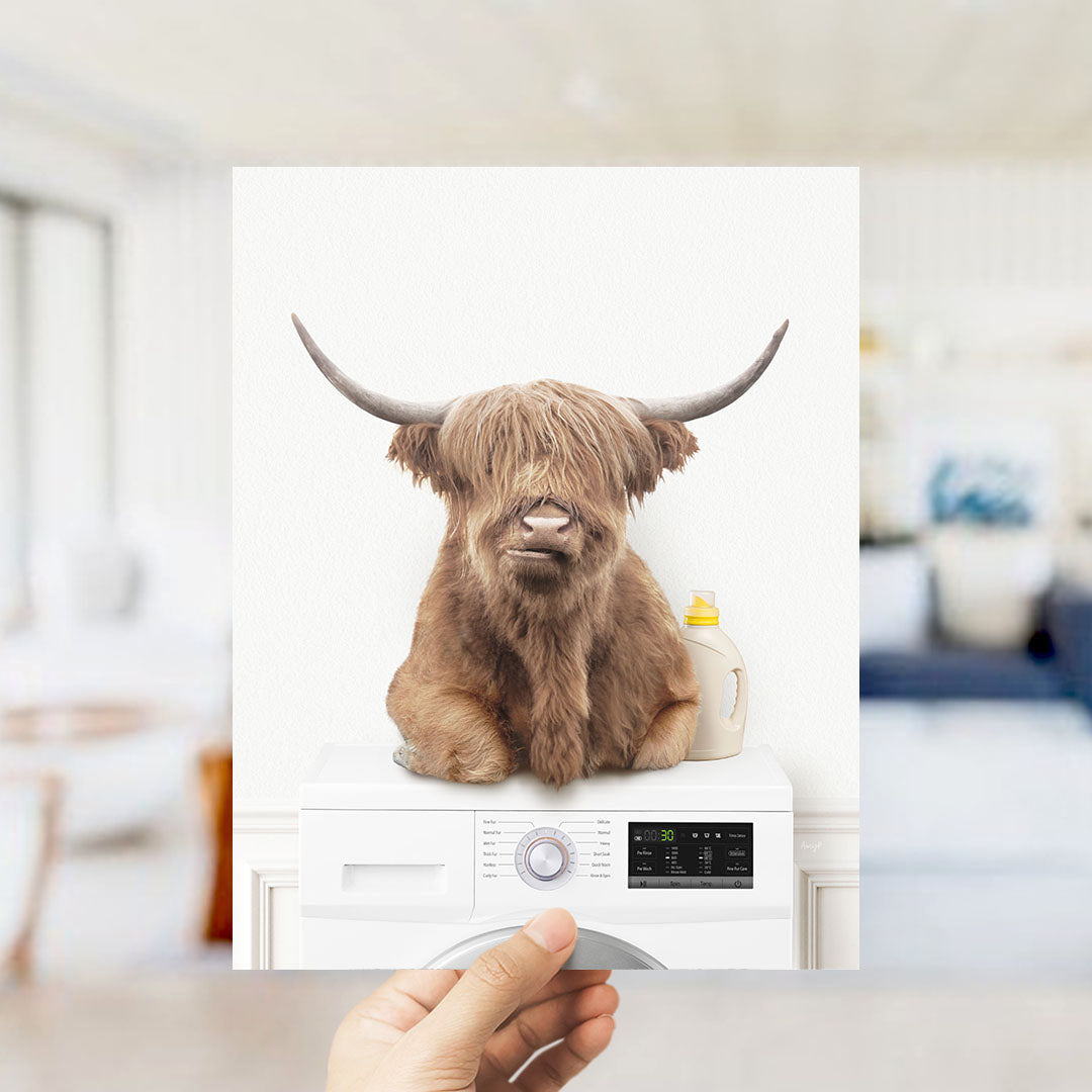 Highland Cow on Washing Machine - Simple White Wall