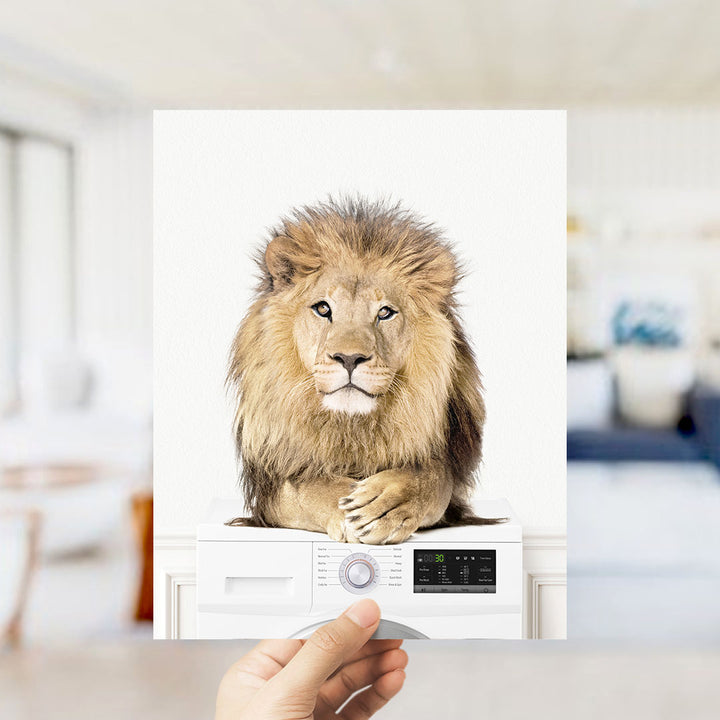 Lion on Washing Machine - Simple White Wall