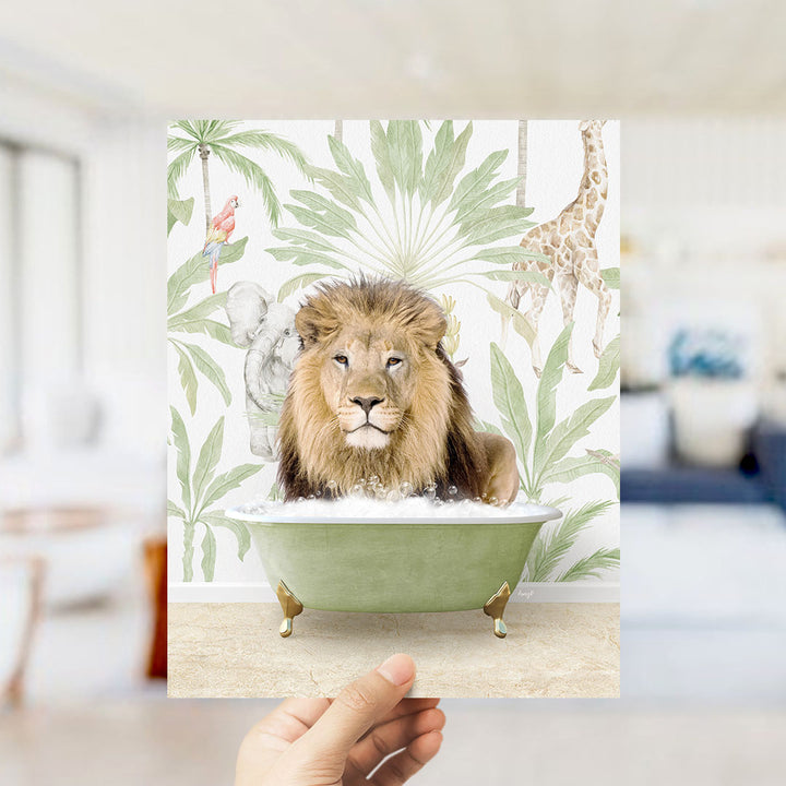 Male Lion in Safari Bath