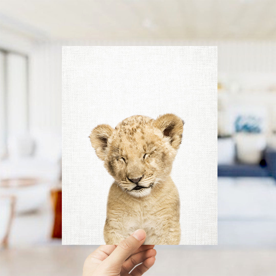 Lion Cub with Eyes Closed - Animal Portraits