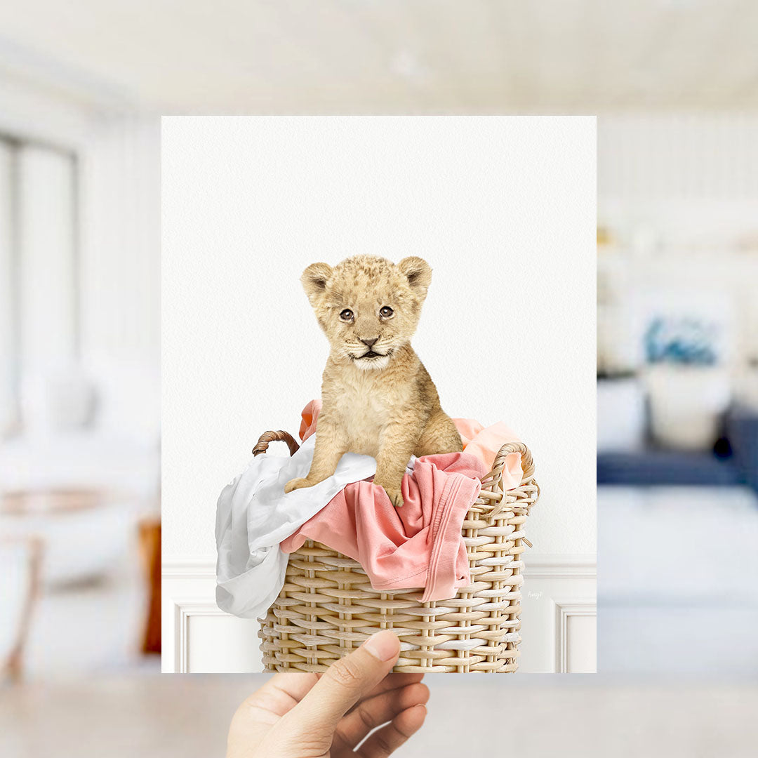Lion Cub in Laundry Basket - Simple White Wall