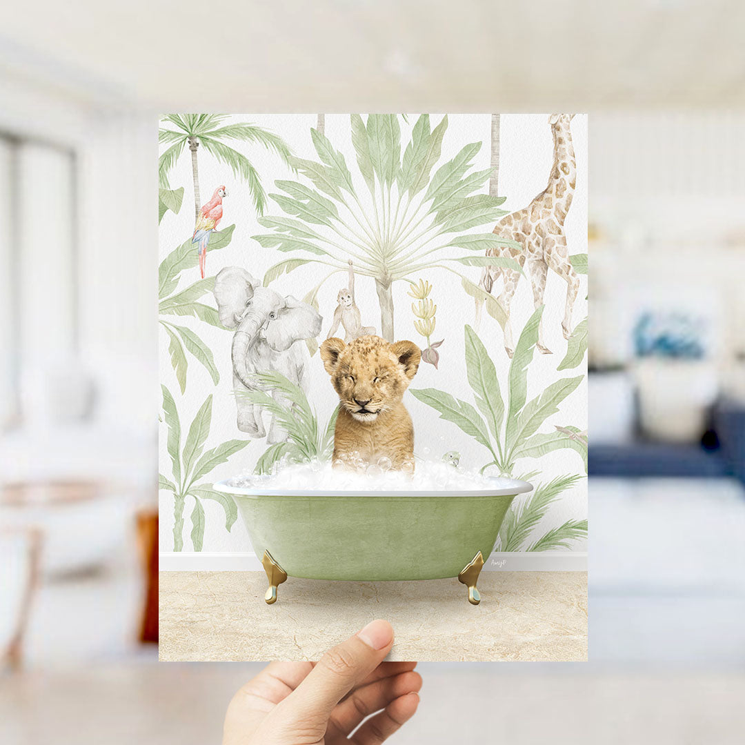 Lion Cub in Safari Bath