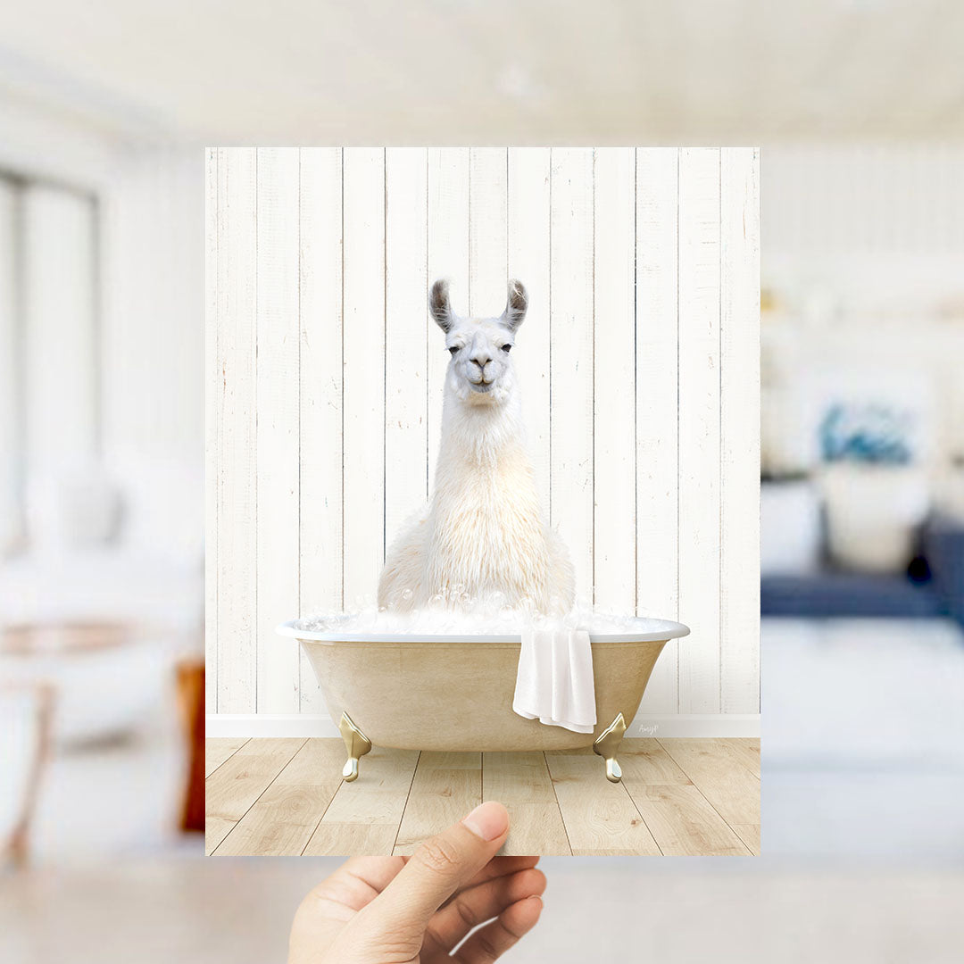Llama in Farmhouse Bath