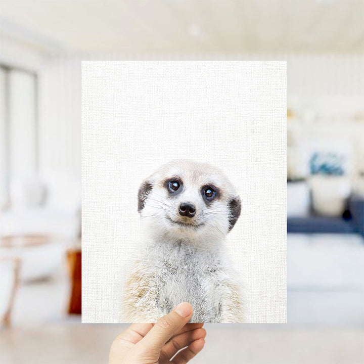 Meerkat - Animal Portraits