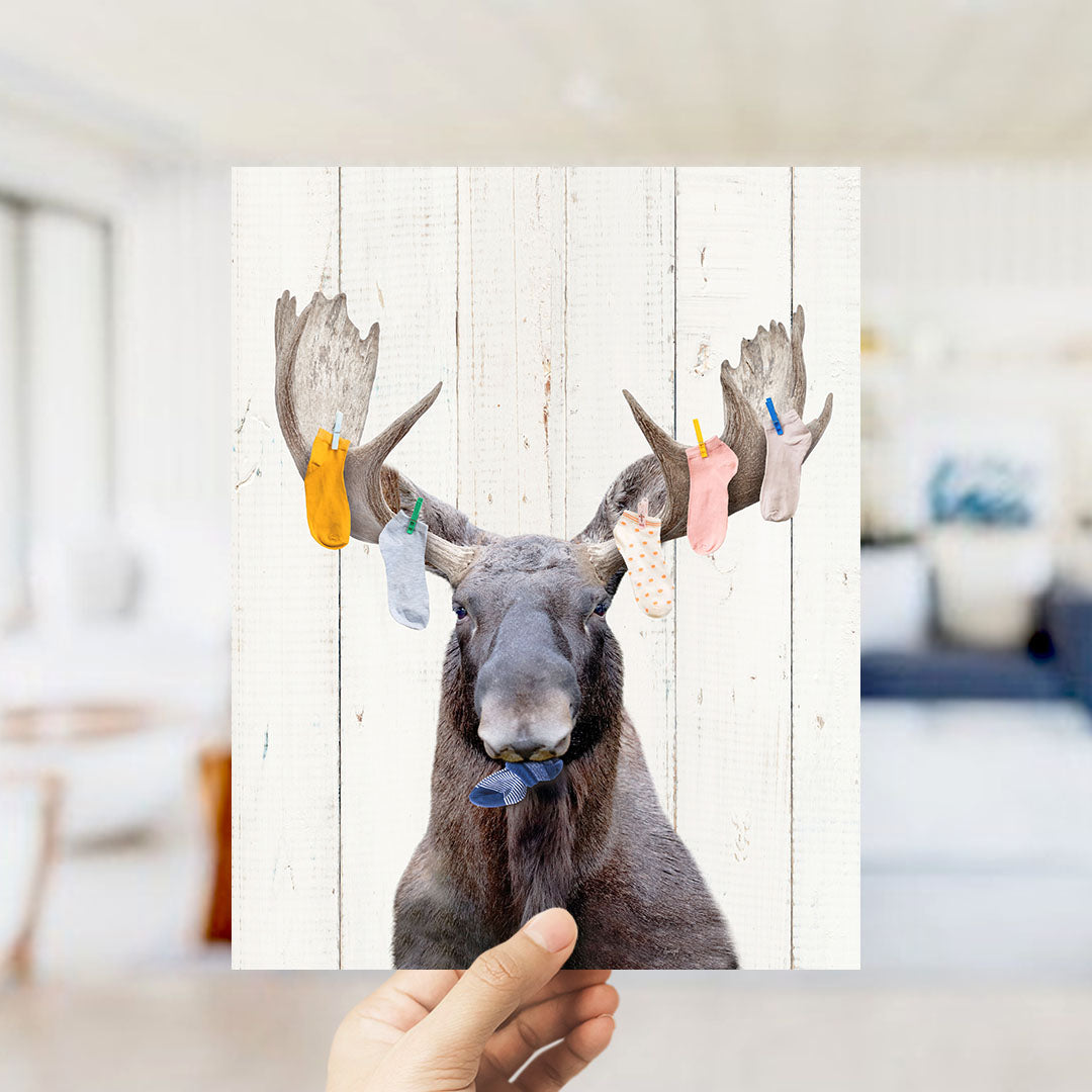 Moose Finders Keepers Lost Socks