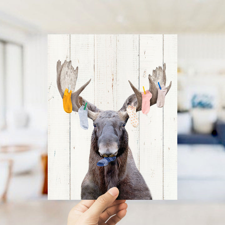 Moose Finders Keepers Lost Socks