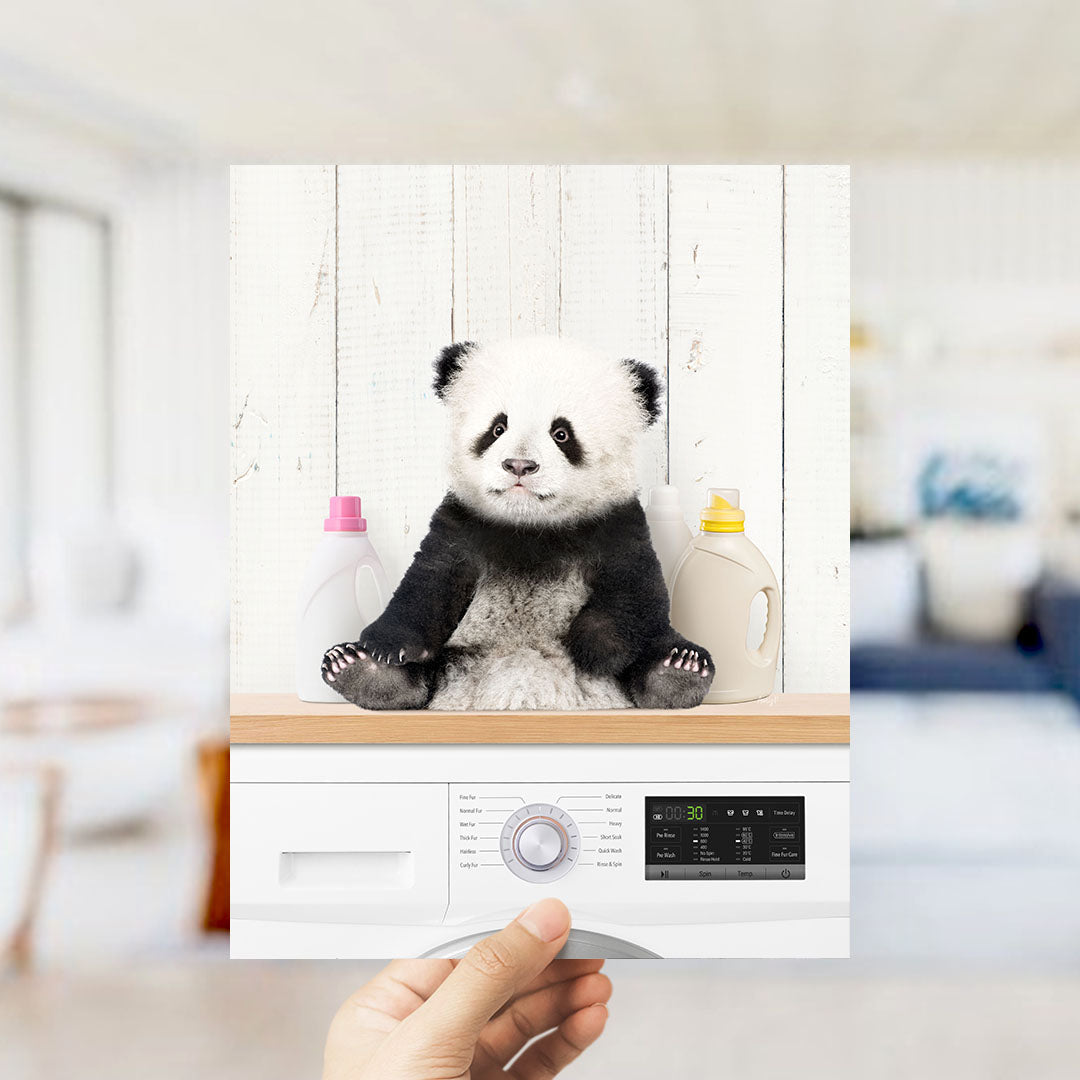 Baby Panda on Shelf Above Washing Machine - Farmhouse Wall