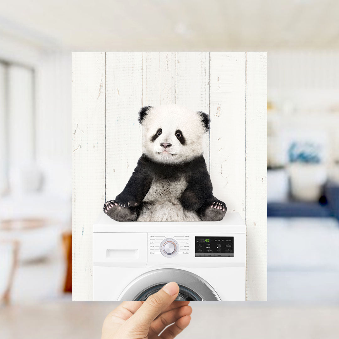 Baby Panda on Washing Machine - Farmhouse Wall